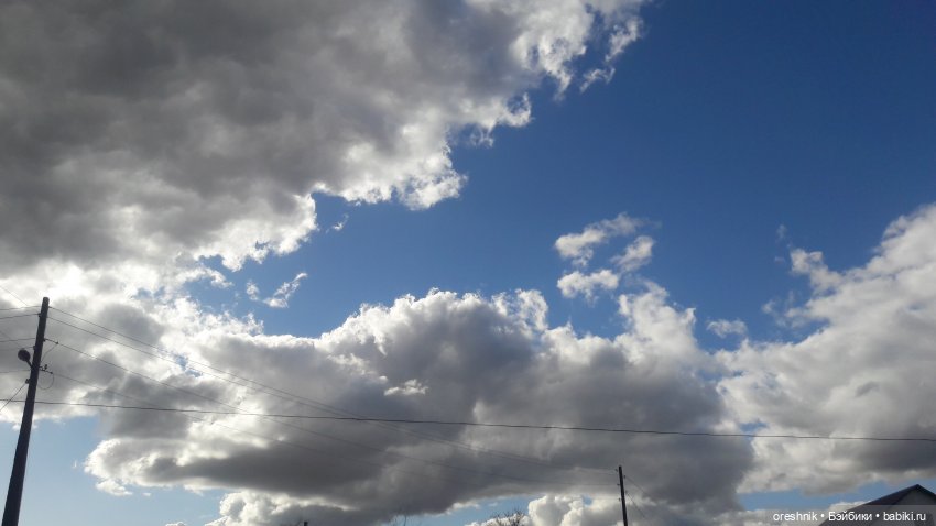 Моя маленькая взрослая Яночка и Ам-нямчик вдыхают весну🌺🌱☀️