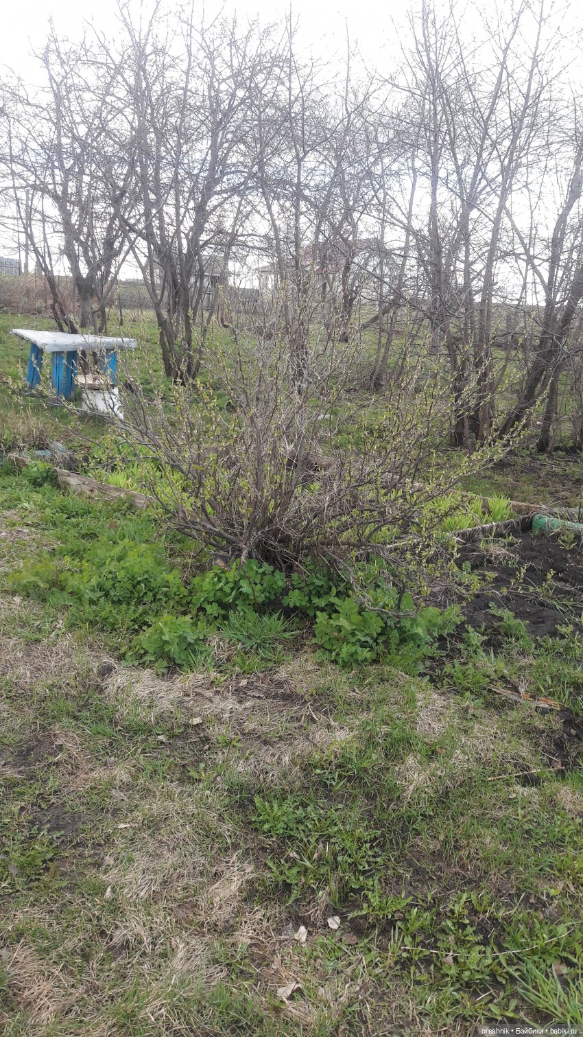 Моя маленькая взрослая Яночка и Ам-нямчик вдыхают весну🌺🌱☀️