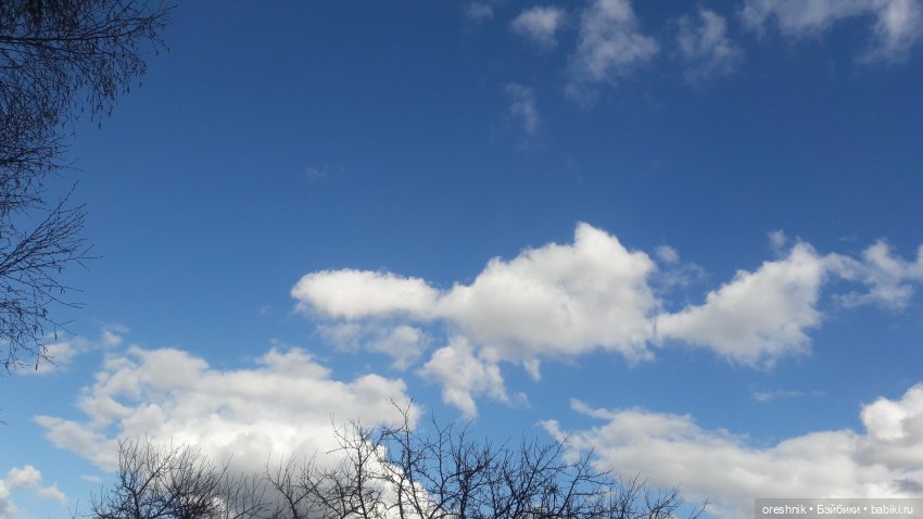 Моя маленькая взрослая Яночка и Ам-нямчик вдыхают весну🌺🌱☀️