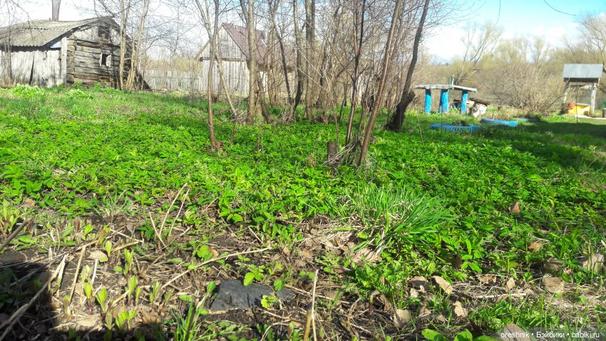 Моя маленькая взрослая Яночка и Ам-нямчик вдыхают весну🌺🌱☀️