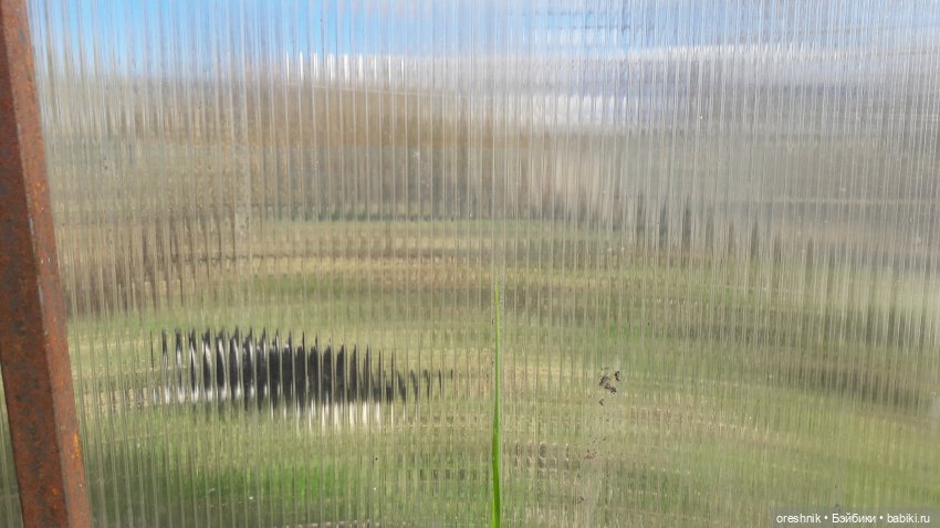 Моя маленькая взрослая Яночка и Ам-нямчик вдыхают весну🌺🌱☀️