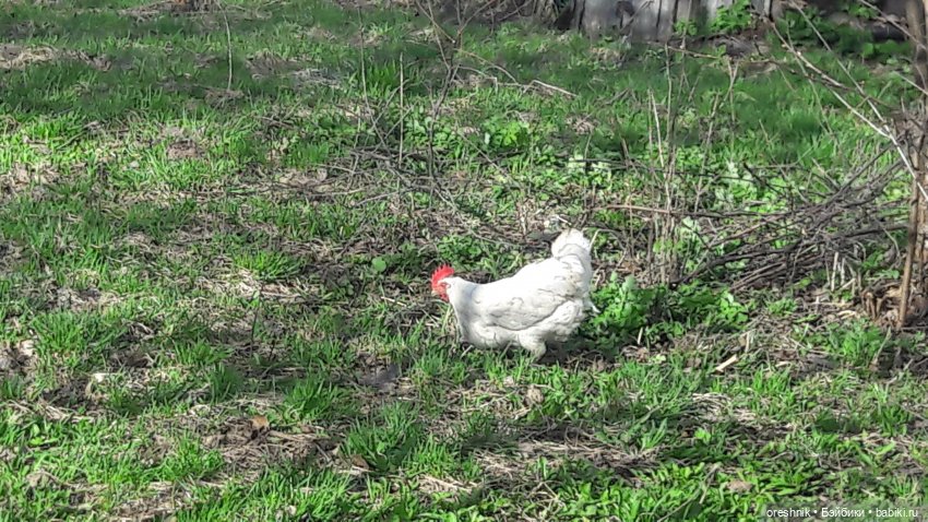Моя маленькая взрослая Яночка и Ам-нямчик вдыхают весну🌺🌱☀️