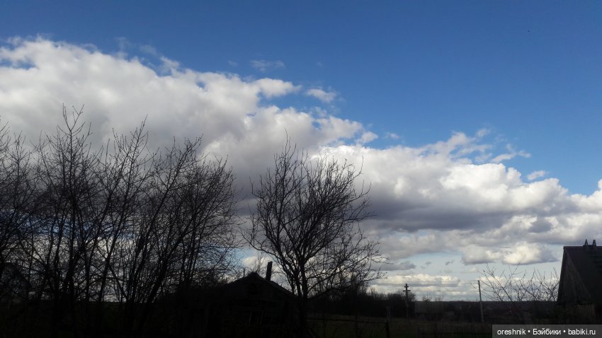 Моя маленькая взрослая Яночка и Ам-нямчик вдыхают весну🌺🌱☀️