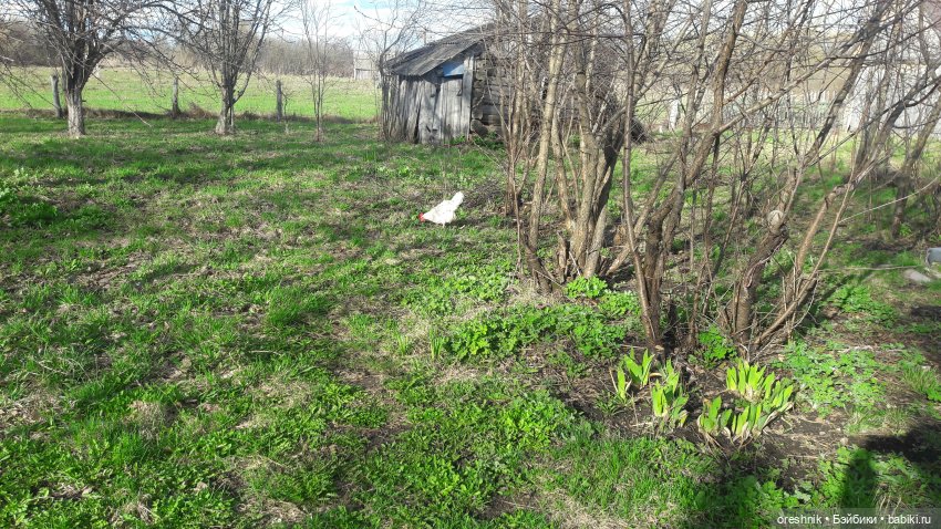 Моя маленькая взрослая Яночка и Ам-нямчик вдыхают весну🌺🌱☀️