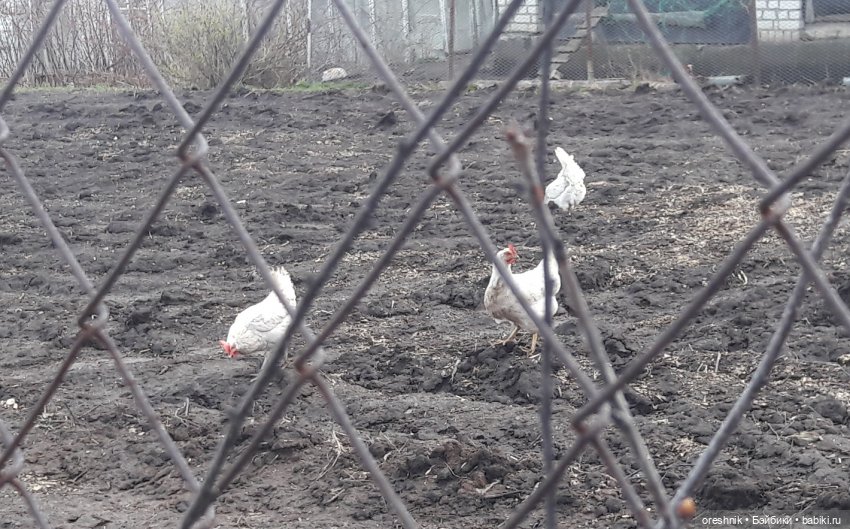 Моя маленькая взрослая Яночка и Ам-нямчик вдыхают весну🌺🌱☀️