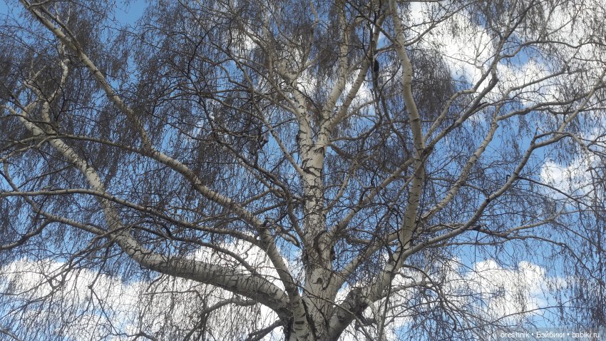 Моя маленькая взрослая Яночка и Ам-нямчик вдыхают весну🌺🌱☀️