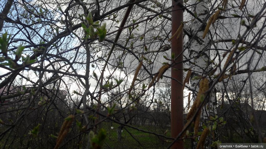 Моя маленькая взрослая Яночка и Ам-нямчик вдыхают весну🌺🌱☀️