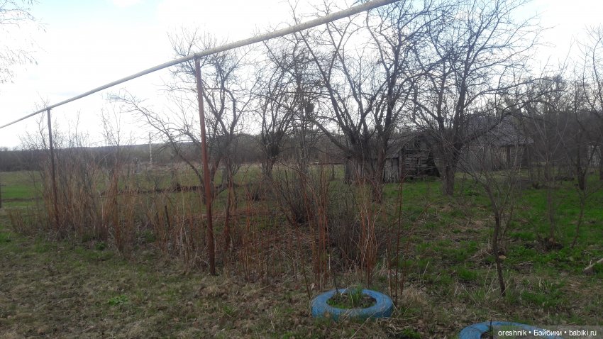 Моя маленькая взрослая Яночка и Ам-нямчик вдыхают весну🌺🌱☀️