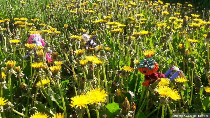 Мы всё ещё в пути, потому что жизнь и есть путь (фото 5)