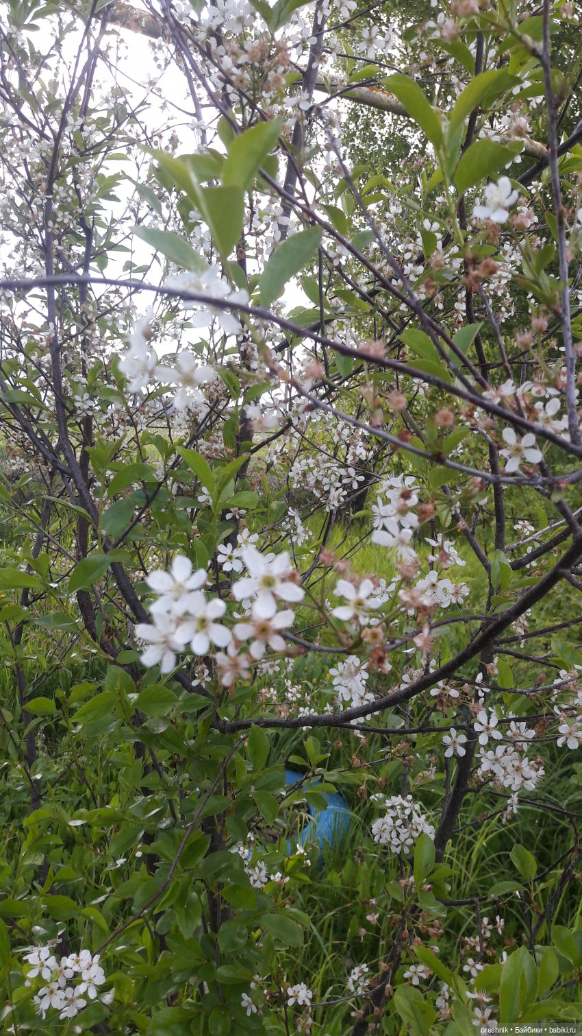 Мы всё ещё в пути, потому что жизнь и есть путь