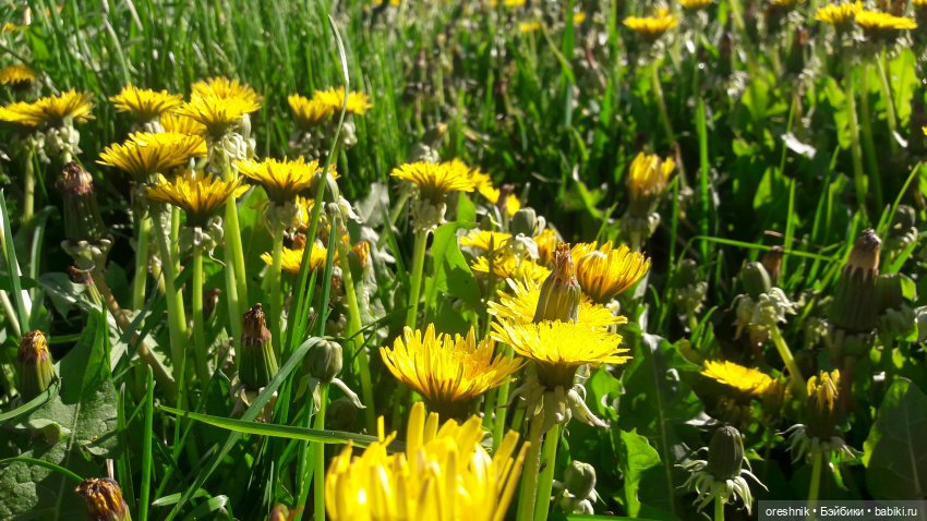 Мы всё ещё в пути, потому что жизнь и есть путь (фото 10)