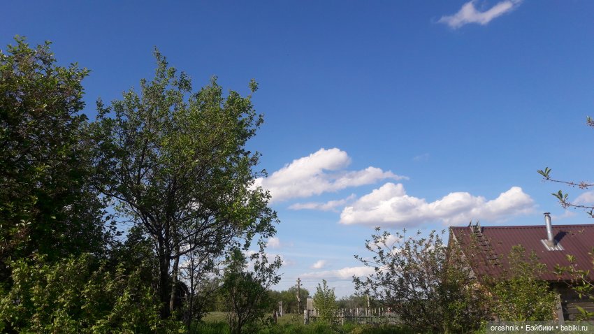 Мы всё ещё в пути, потому что жизнь и есть путь