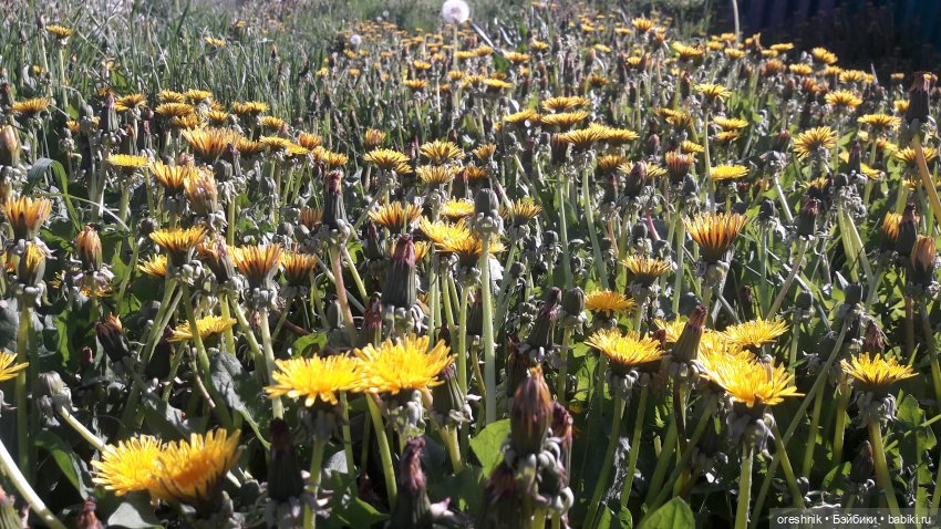 Мы всё ещё в пути, потому что жизнь и есть путь (фото 3)