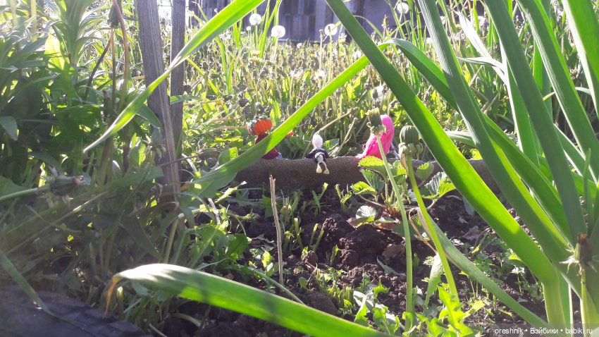 Мы всё ещё в пути, потому что жизнь и есть путь