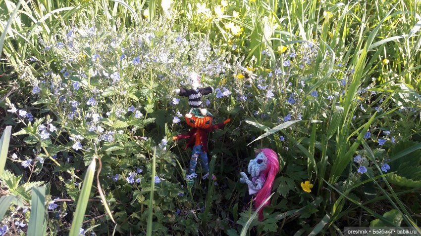 Мы всё ещё в пути, потому что жизнь и есть путь