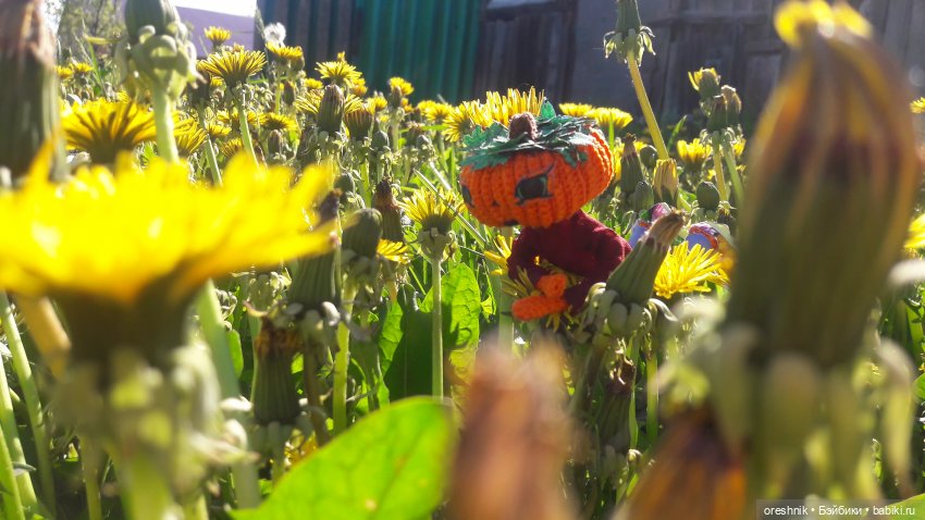 Мы всё ещё в пути, потому что жизнь и есть путь (фото 6)