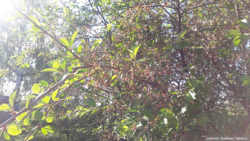 Мы всё ещё в пути, потому что жизнь и есть путь