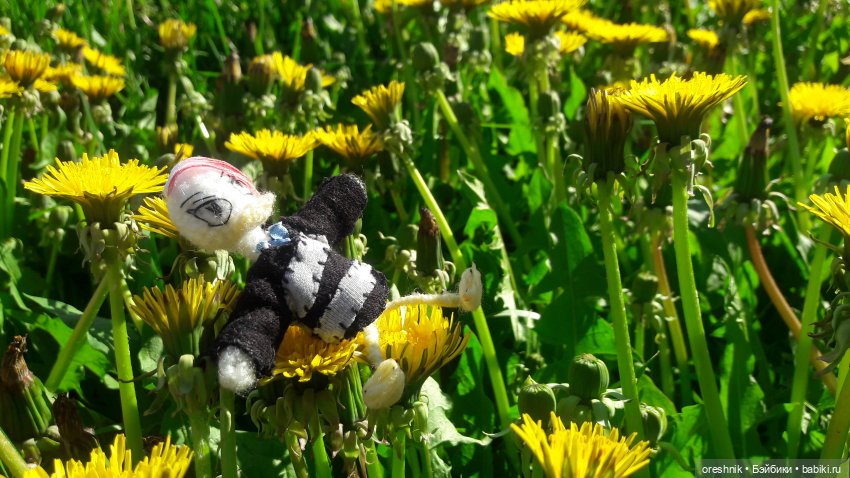 Мы всё ещё в пути, потому что жизнь и есть путь (фото 7)