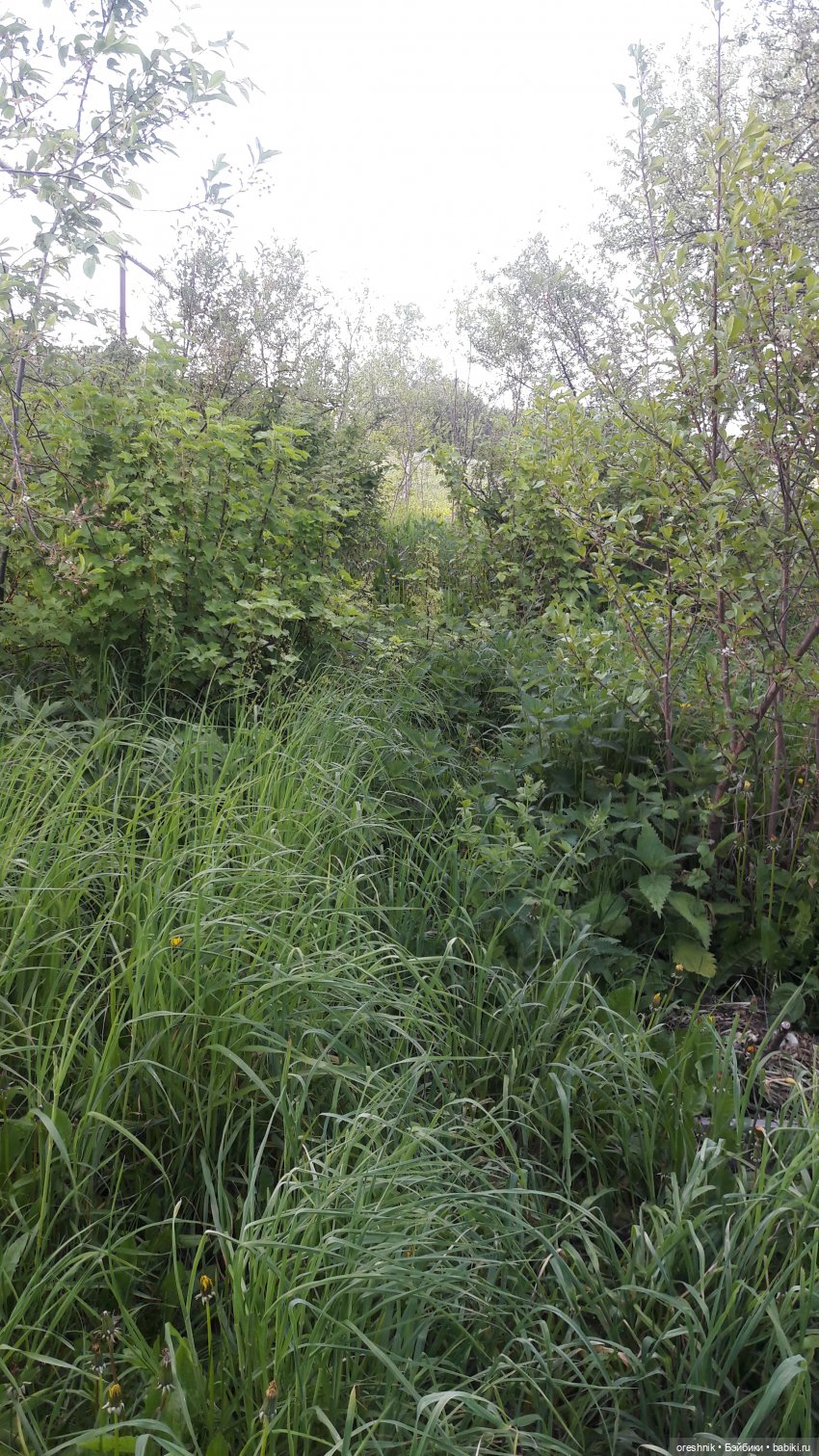 Мы всё ещё в пути, потому что жизнь и есть путь