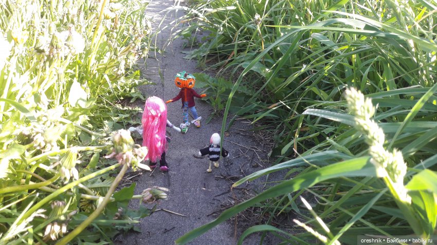 Мы всё ещё в пути, потому что жизнь и есть путь