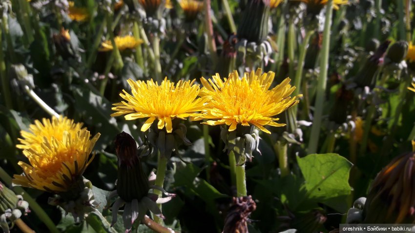 Мы всё ещё в пути, потому что жизнь и есть путь (фото 4)