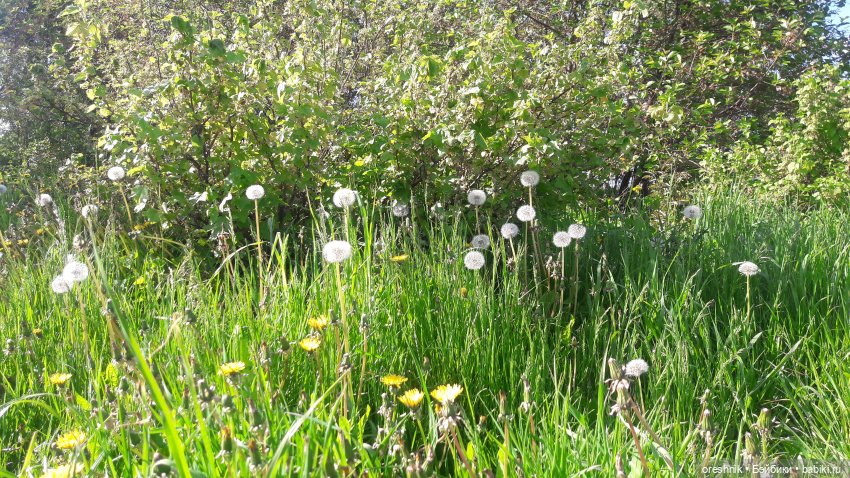Мы всё ещё в пути, потому что жизнь и есть путь (фото 2)