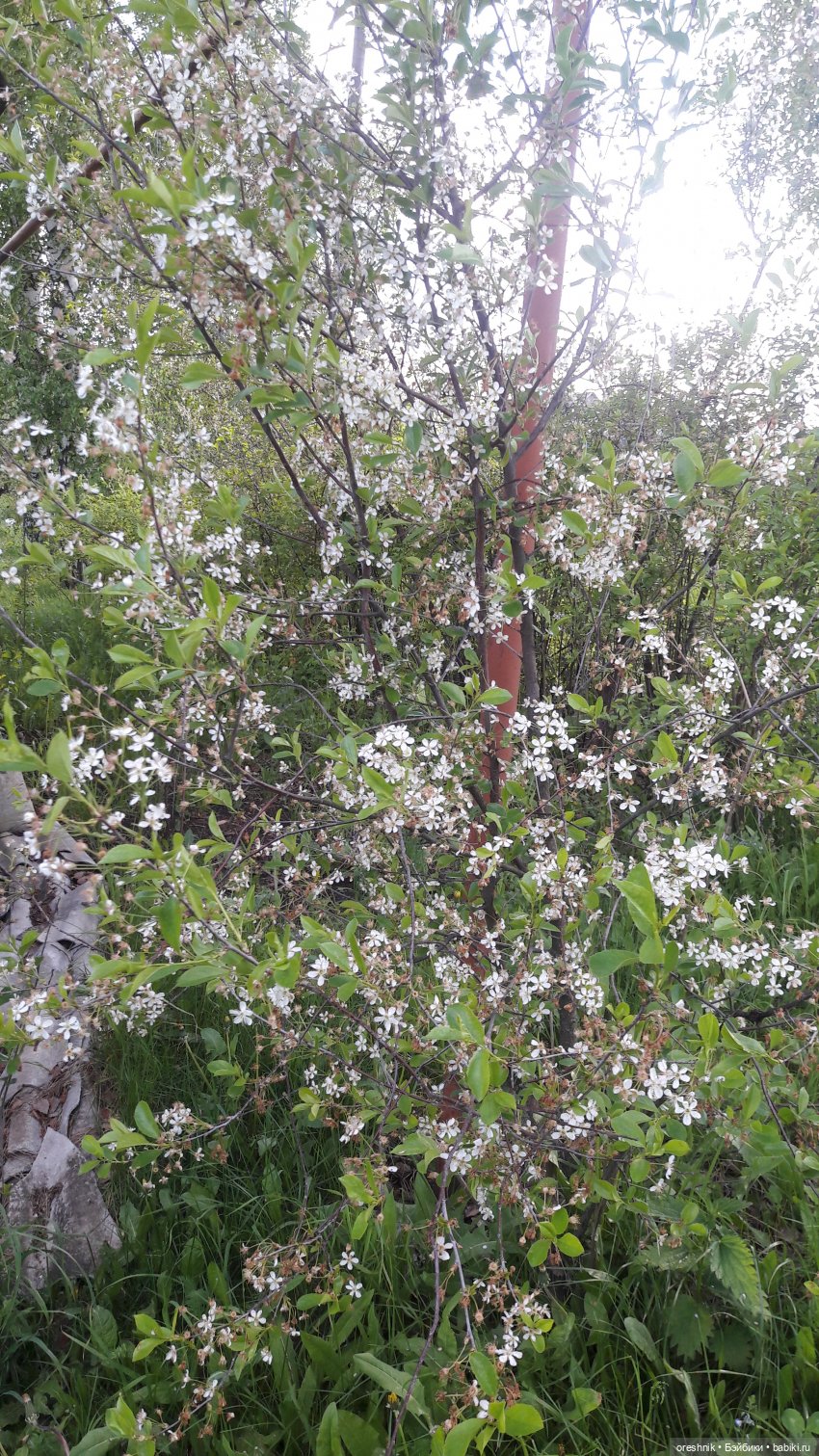 Мы всё ещё в пути, потому что жизнь и есть путь