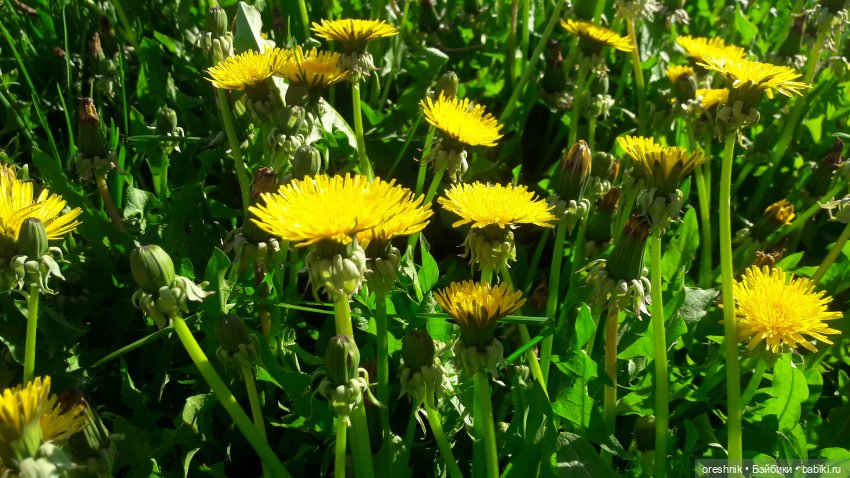 Мы всё ещё в пути, потому что жизнь и есть путь (фото 8)