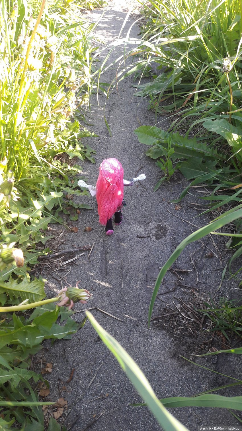 Мы всё ещё в пути, потому что жизнь и есть путь