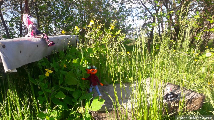 Мы всё ещё в пути, потому что жизнь и есть путь