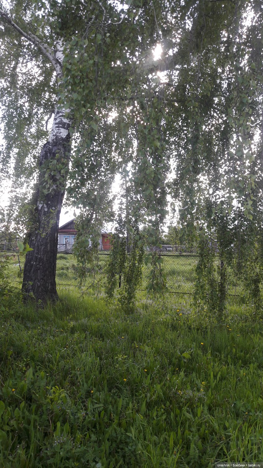 Мы всё ещё в пути, потому что жизнь и есть путь