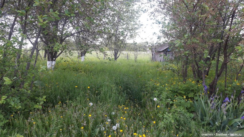 Мы всё ещё в пути, потому что жизнь и есть путь