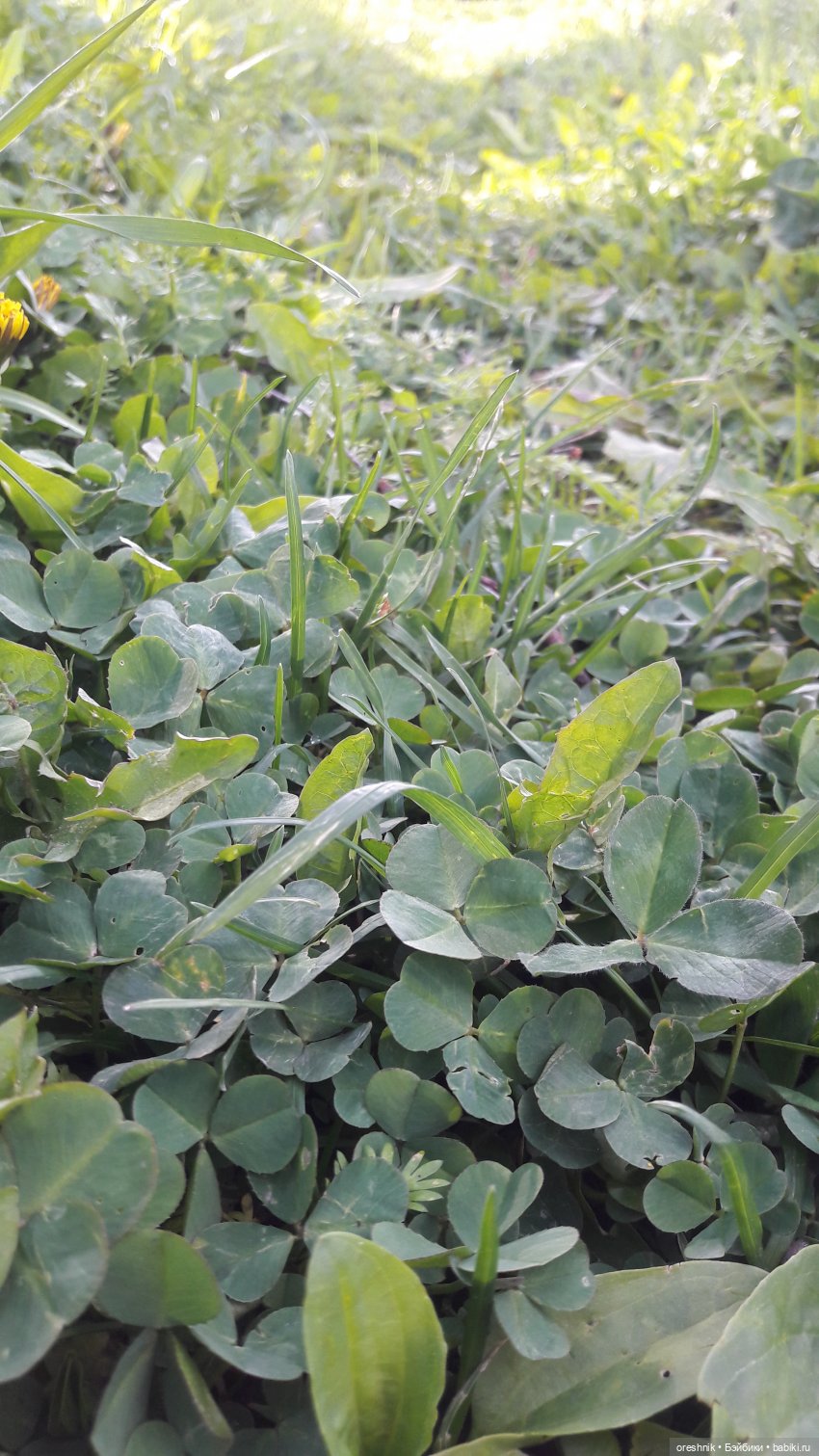 Мы всё ещё в пути, потому что жизнь и есть путь