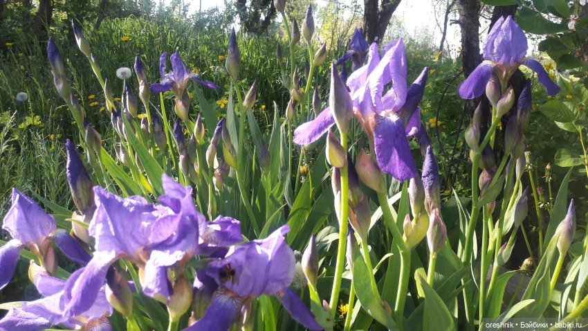 Мы всё ещё в пути, потому что жизнь и есть путь