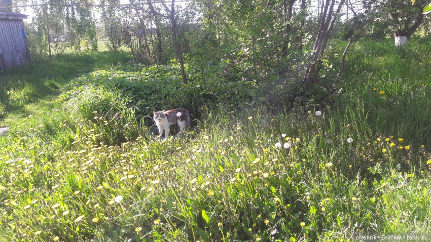 Мы всё ещё в пути, потому что жизнь и есть путь