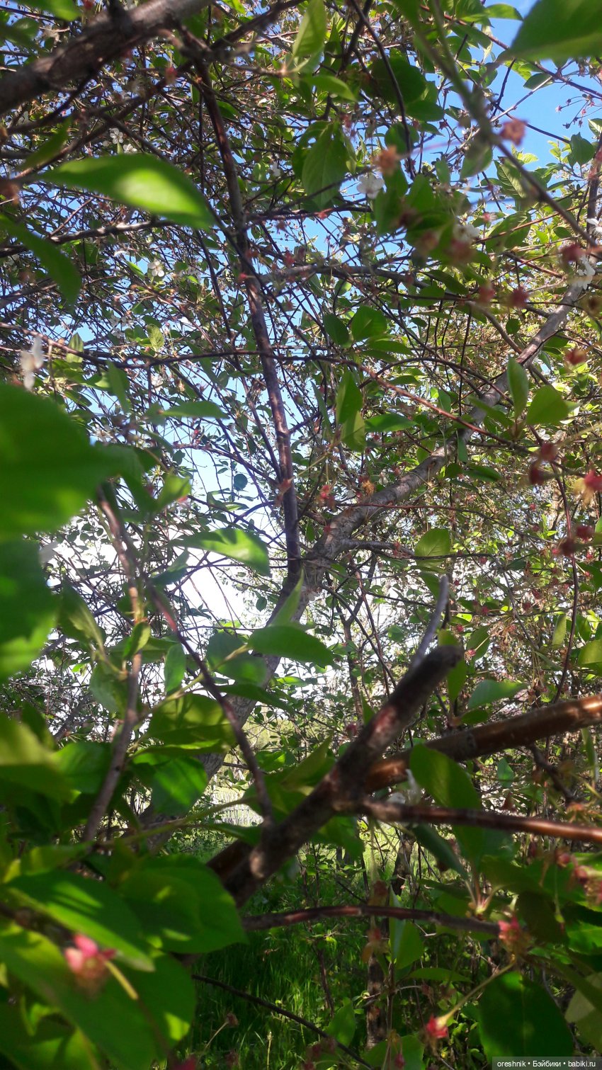 Мы всё ещё в пути, потому что жизнь и есть путь