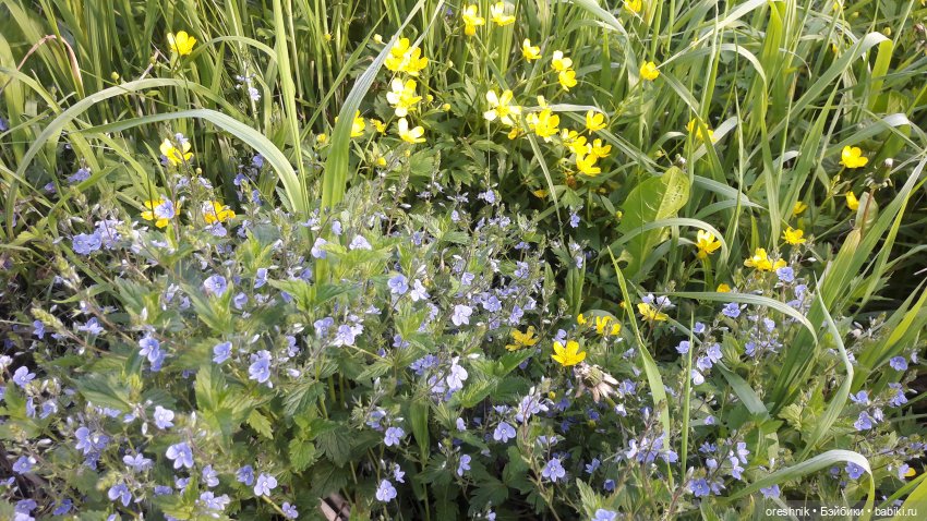 Мы всё ещё в пути, потому что жизнь и есть путь