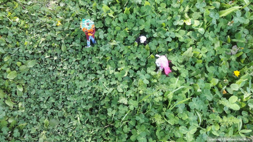 Мы всё ещё в пути, потому что жизнь и есть путь