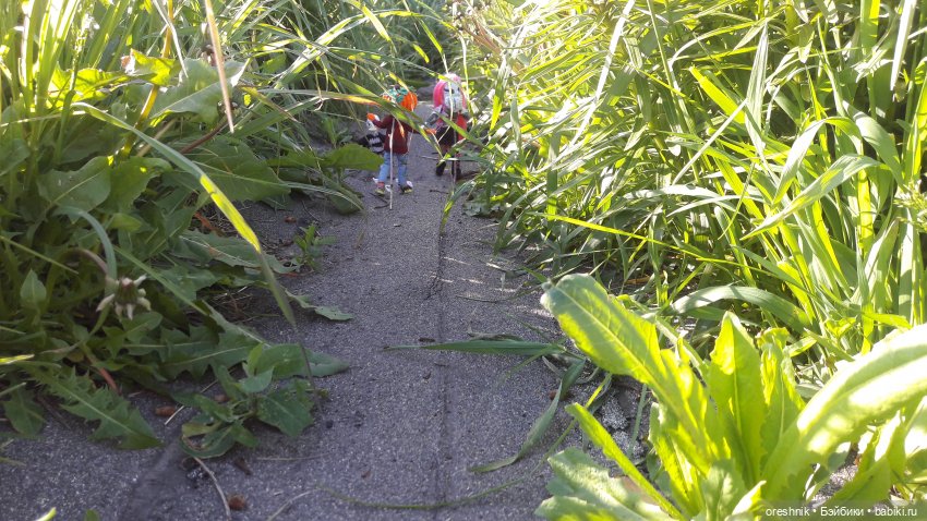 Мы всё ещё в пути, потому что жизнь и есть путь