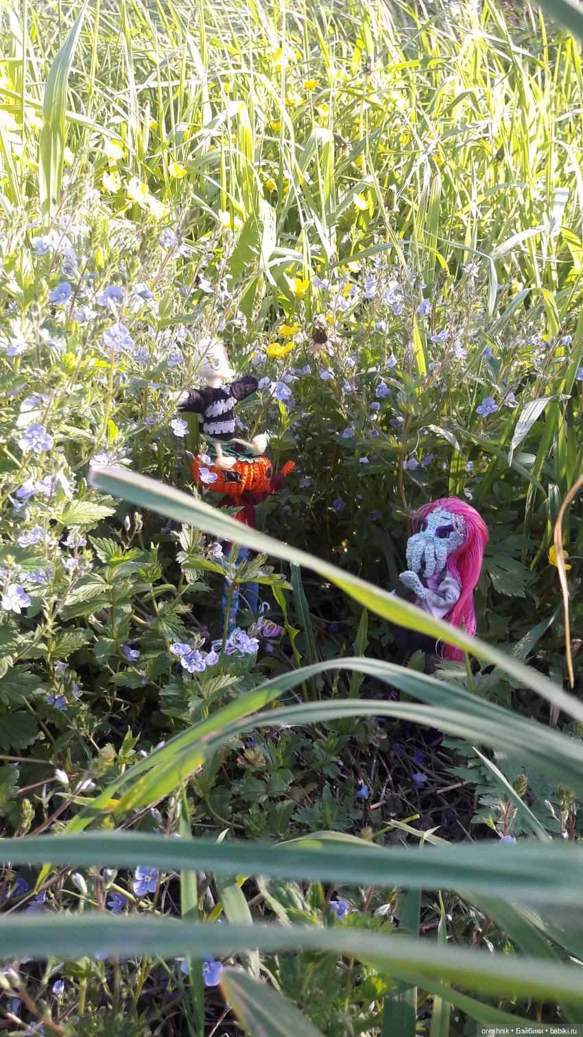 Мы всё ещё в пути, потому что жизнь и есть путь