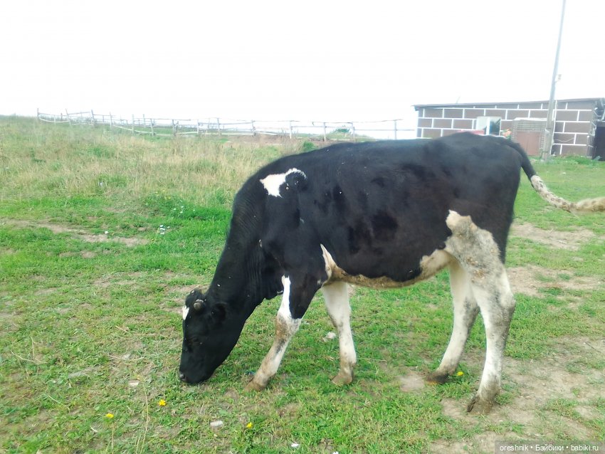 Будни с щепоткой сказочности🤭✨🌿🍂☀️