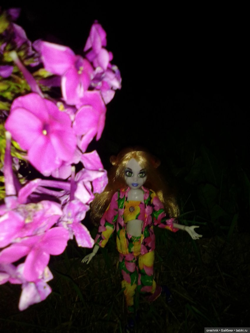 Будни с щепоткой сказочности🤭✨🌿🍂☀️