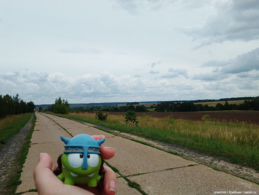 Будни с щепоткой сказочности🤭✨🌿🍂☀️ (фото 8)