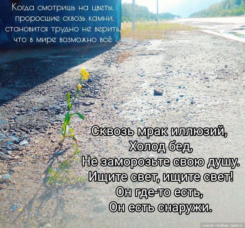 Будни с щепоткой сказочности🤭✨🌿🍂☀️