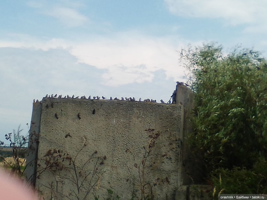 Будни с щепоткой сказочности🤭✨🌿🍂☀️