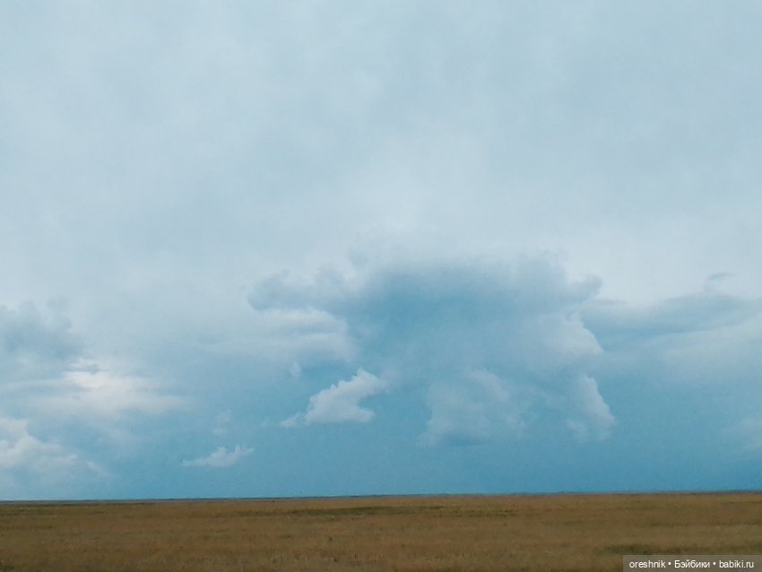 Будни с щепоткой сказочности🤭✨🌿🍂☀️