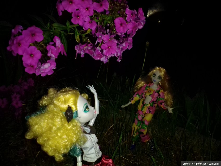 Будни с щепоткой сказочности🤭✨🌿🍂☀️