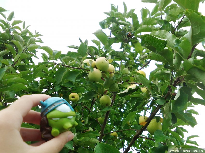 Будни с щепоткой сказочности🤭✨🌿🍂☀️ (фото 4)