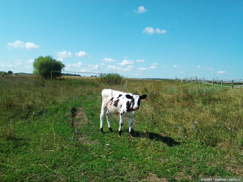 Будни с щепоткой сказочности🤭✨🌿🍂☀️