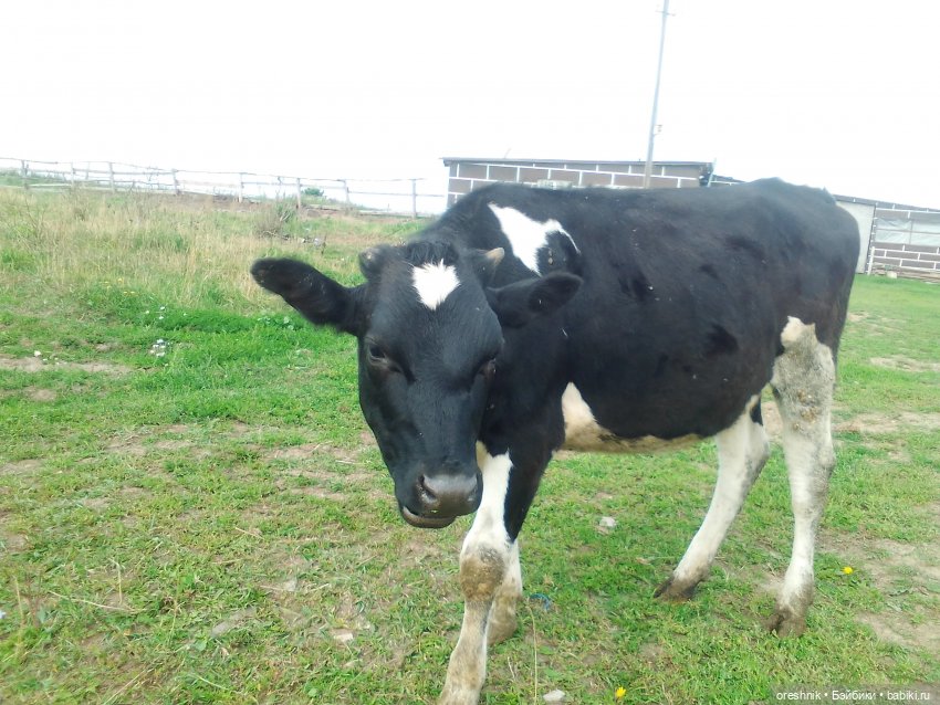Будни с щепоткой сказочности🤭✨🌿🍂☀️